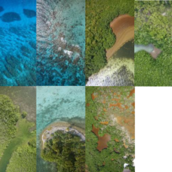 Marine environment habitats by Aeromapper Talon Amphibious water landing drone Belize